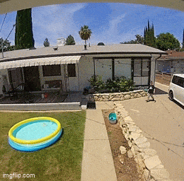 Acid GIFs, August 2 (25 gifs) Acid GIFs, August 2 (25 gifs)