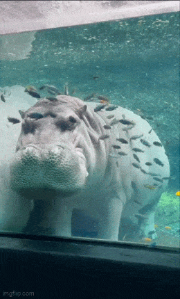 Acid GIFs, August 2 (25 gifs) Acid GIFs, August 2 (25 gifs)