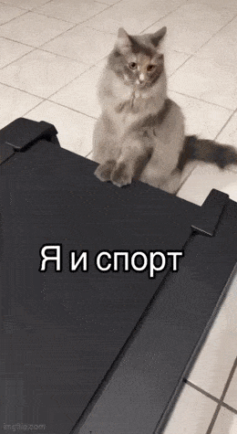 Acid GIFs, August 2 (25 gifs) Acid GIFs, August 2 (25 gifs)