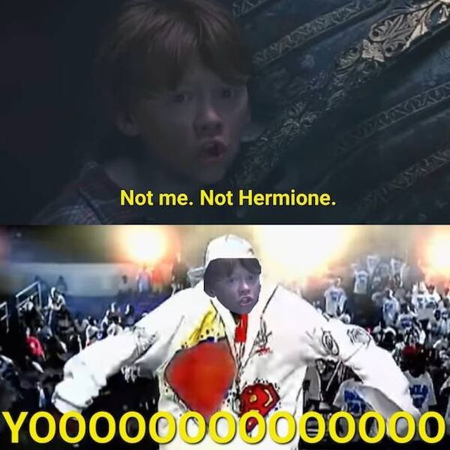 Memes For ''Harry Potter'' Fans (17 pics)