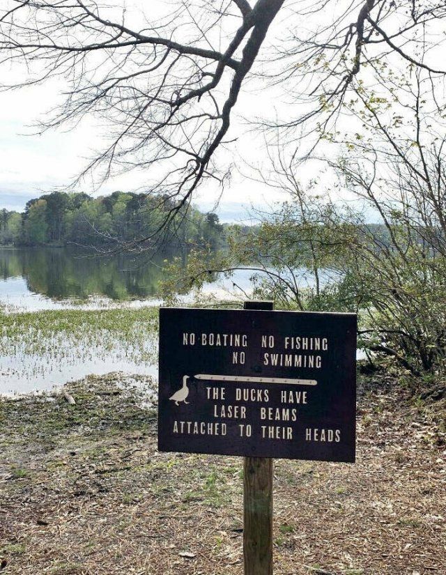 Funny Signs (25 pics)