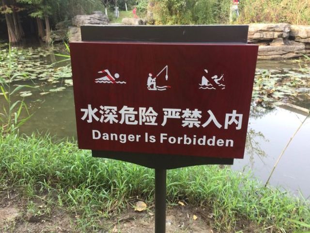 Failed Translation (18 pics)