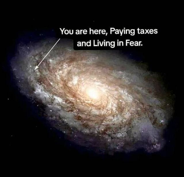 Funny Memes (24 pics)