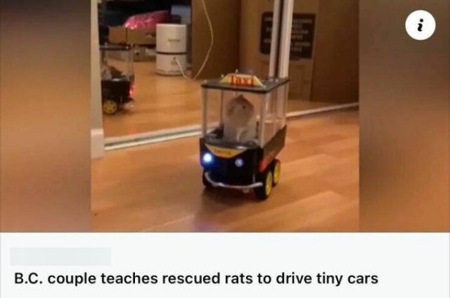Weird And Hilarious News (18 pics)