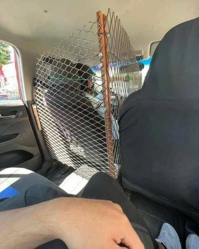 What Is Going On Here? (26 pics)
