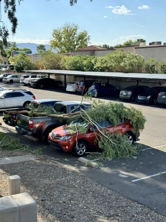 Bad Days Happen (17 pics)