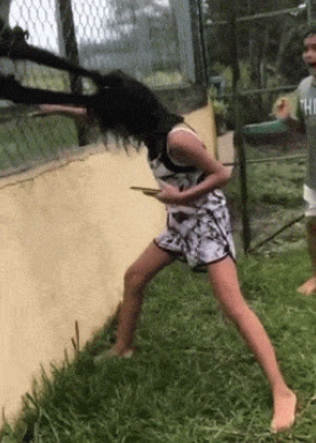 Acid GIFs, August 14 (25 gifs)