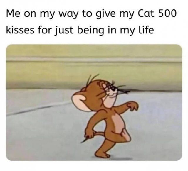 Heartwarming Memes (25 pics)