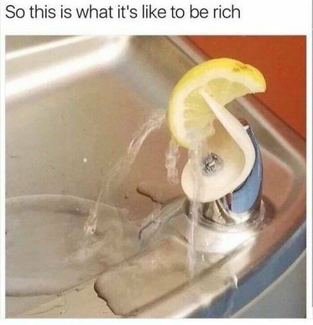 Funny Memes (20 pics)