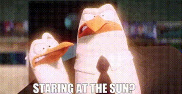 Random Facts (15 gifs)