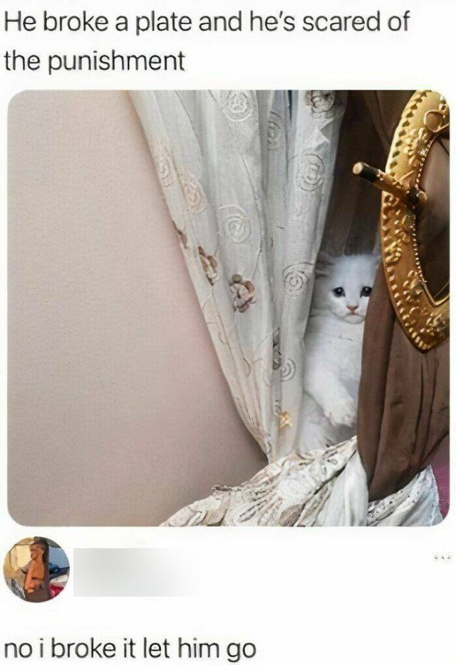 Heartwarming Moments (24 pics)
