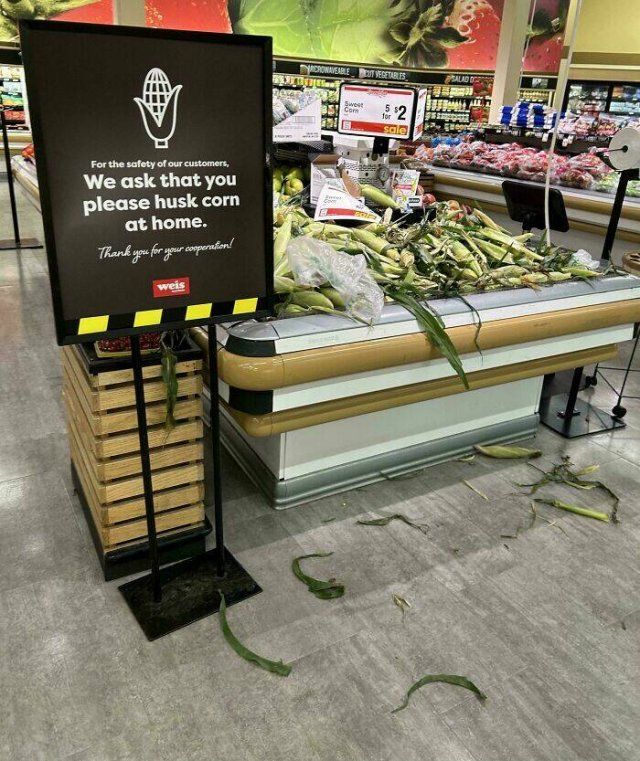 They Don't Care About The Rules (29 pics)