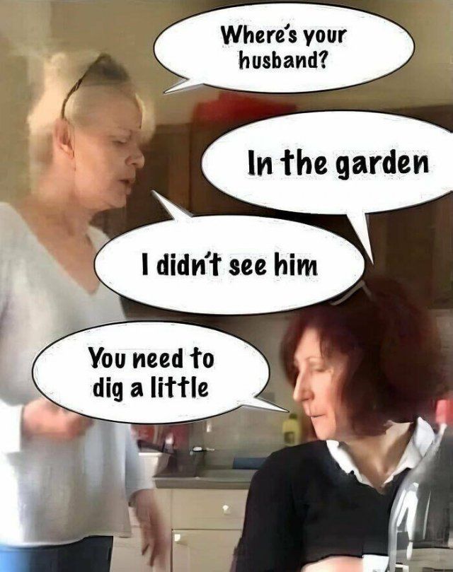 Funny Memes (21 pics)