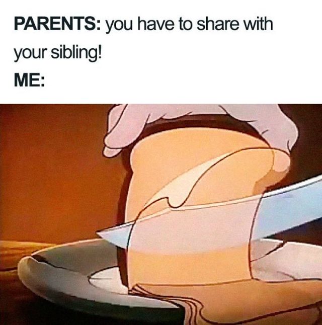 Memes About Siblings (21 pics)
