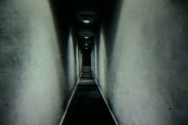 Creepy Facts (14 gifs)