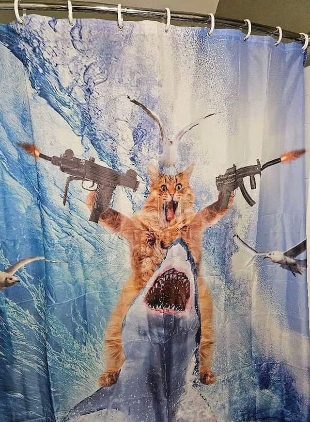 What Is Going On Here? (27  pics)