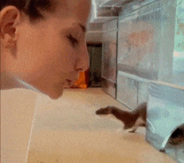 Acid GIFs, September 17 (25 gifs)