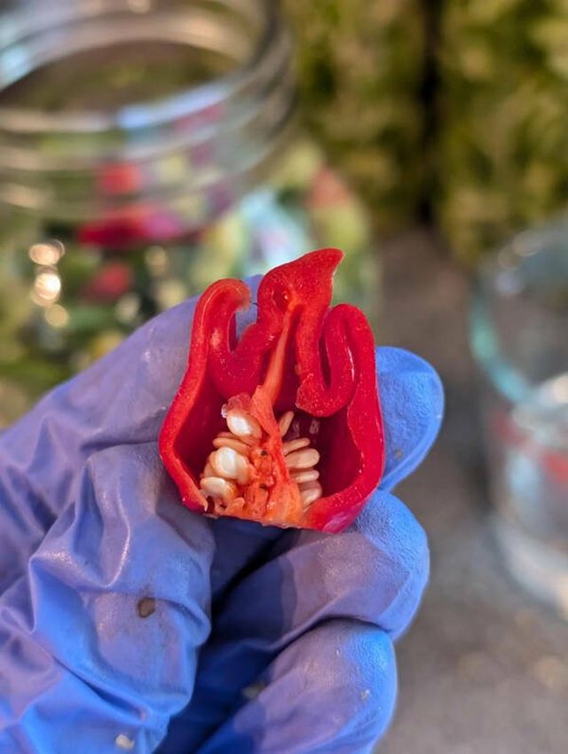 Interesting Finds (17 pics)
