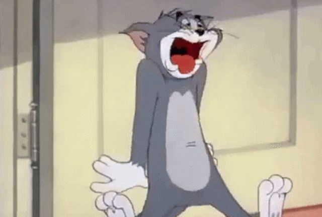 Random Facts (15 gifs)