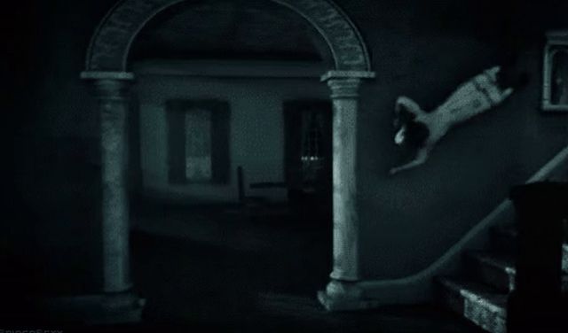 Creepy Facts (15 gifs)