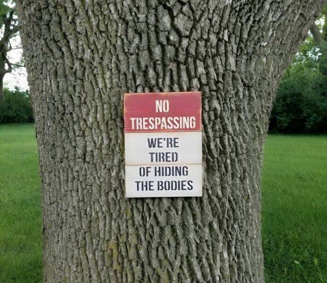 Funny Signs (25 pics)