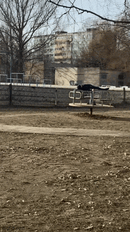 Acid GIFs, October 2 (25 gifs) Acid GIFs, October 2 (25 gifs)
