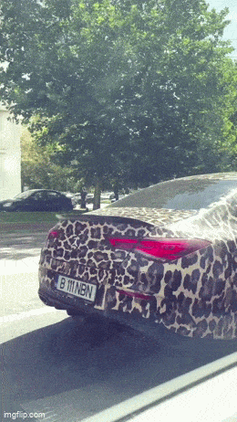 Acid GIFs, October 2 (25 gifs) Acid GIFs, October 2 (25 gifs)