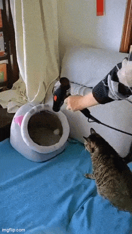 Acid GIFs, October 2 (25 gifs) Acid GIFs, October 2 (25 gifs)