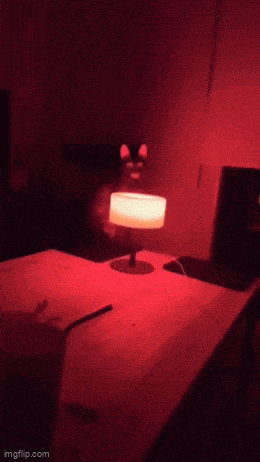 Acid GIFs, October 2 (25 gifs) Acid GIFs, October 2 (25 gifs)