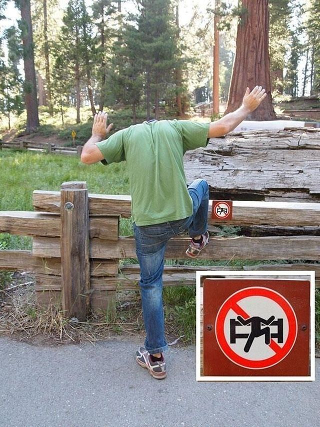 They Don't Care About The Rules (18 pics)