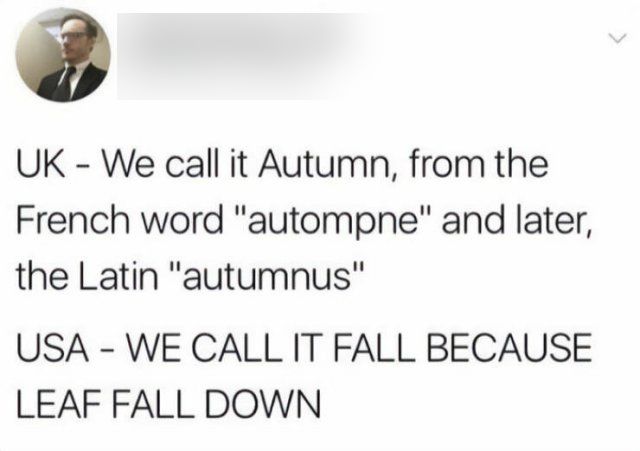 Autumn Memes (19 pics)