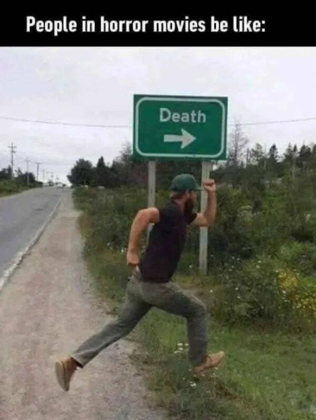 Memes For Horror Movie Fans (29 pics)