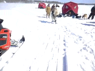 Acid GIFs, November 1 (25 gifs) Acid GIFs, November 1 (25 gifs)