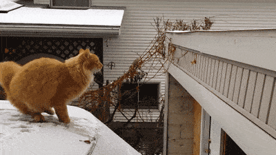 Acid GIFs, November 1 (25 gifs) Acid GIFs, November 1 (25 gifs)