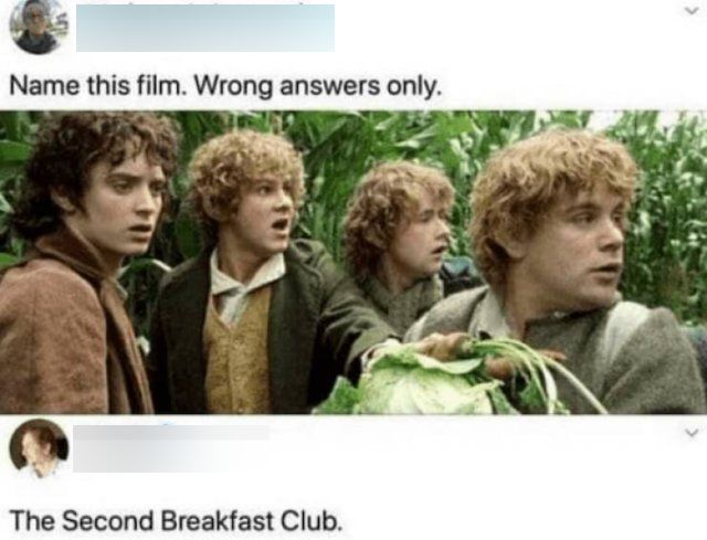 Memes For ''The Lord Of The Rings'' Fans (21 pics)