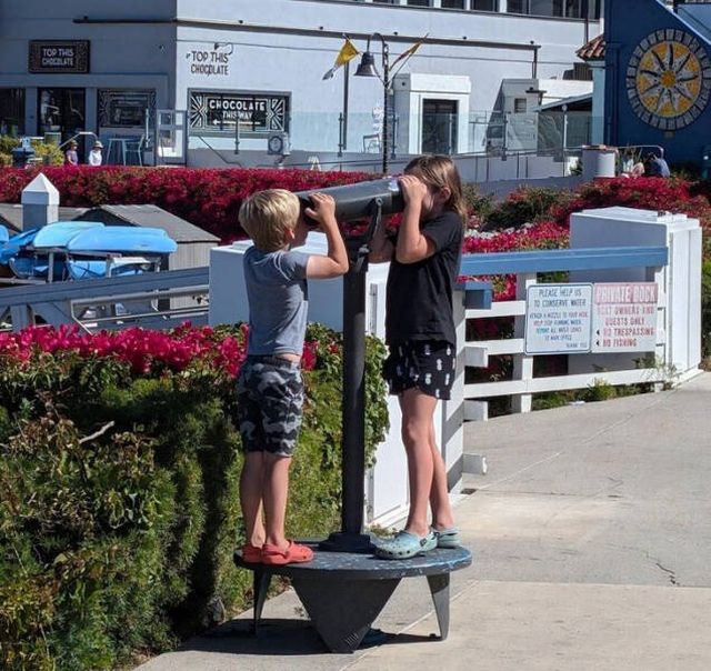 Parenting Is Chaos (21 pics)