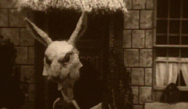 Creepy Facts (20 gifs)