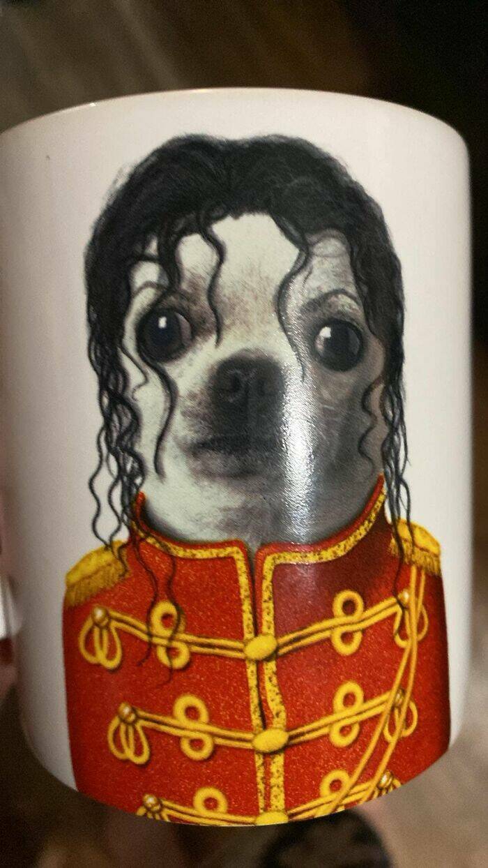 Weird Finds In Thrift Shops (18 pics)