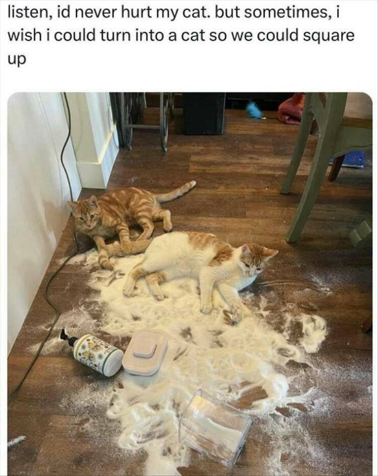 Daily Pictures. Part 2 (59 pics)