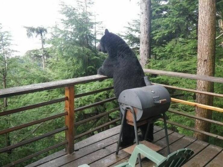 Daily Pictures. Part 1 (61 pics)