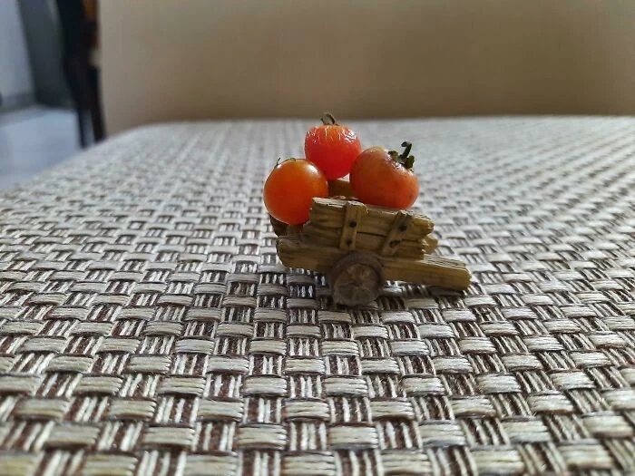 Failed But Cute Harvest (17 pics)
