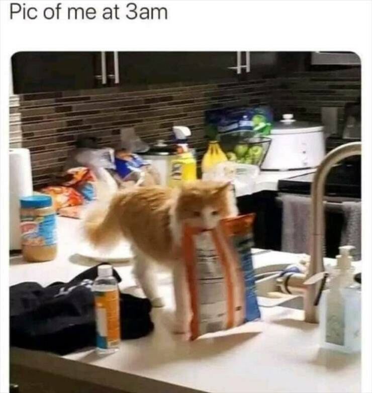 Daily Pictures. Part 2 (57 pics)