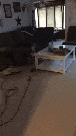 Acid GIFs, November 6 (25 gifs) Acid GIFs, November 6 (25 gifs)