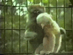 Acid GIFs, November 6 (25 gifs) Acid GIFs, November 6 (25 gifs)