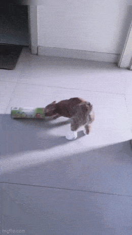 Acid GIFs, November 6 (25 gifs) Acid GIFs, November 6 (25 gifs)
