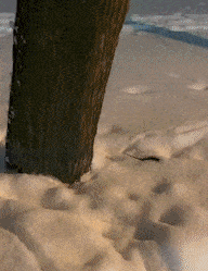 Acid GIFs, November 6 (25 gifs) Acid GIFs, November 6 (25 gifs)