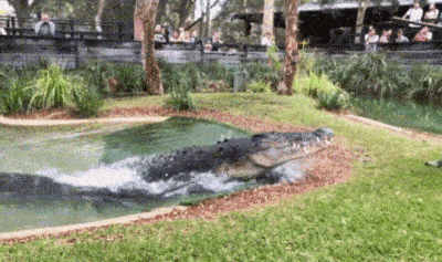 Acid GIFs, November 6 (25 gifs) Acid GIFs, November 6 (25 gifs)