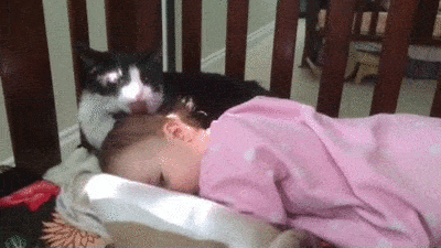 Acid GIFs, November 6 (25 gifs) Acid GIFs, November 6 (25 gifs)