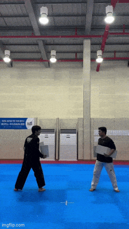Acid GIFs, November 6 (25 gifs) Acid GIFs, November 6 (25 gifs)