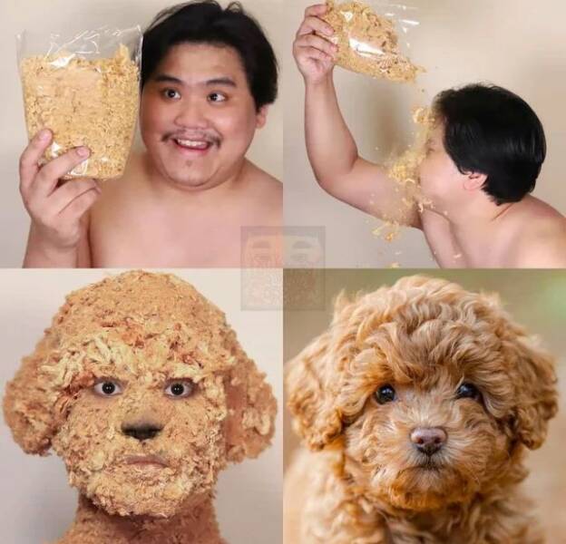Daily Pictures. Part 1 (57 pics)